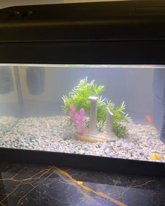 Acquario con motore e filtro