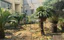 ampia-quadratura-con-giardino