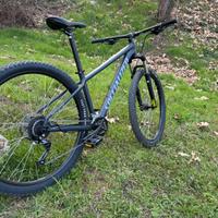 SPECIALIZED ROCKHOPPER 29