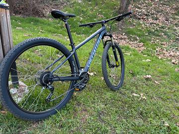 SPECIALIZED ROCKHOPPER 29
