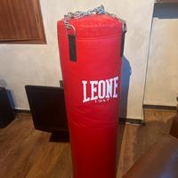 Sacco LEONE 40 Kg