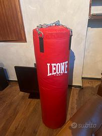 Sacco LEONE 40 Kg