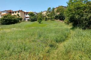 terreno edificabile e agricolo  Casentino 