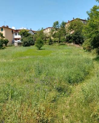 terreno edificabile e agricolo  Casentino 