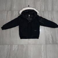 canada goose