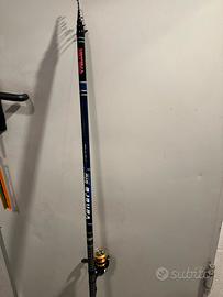 Canna bolognese Falcon Venere Blu