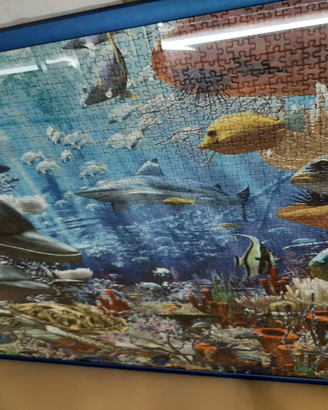 Puzzle incorniciato