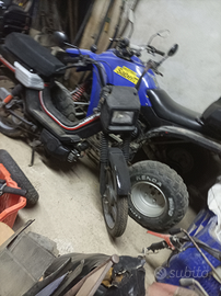 Motorino Atala master