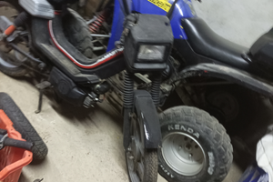 Motorino Atala master