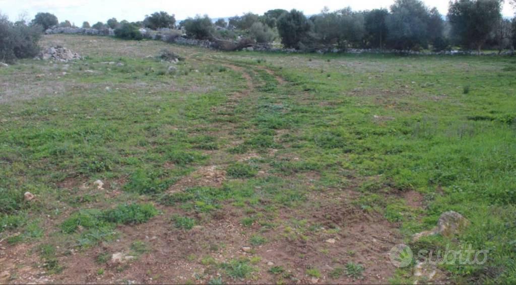 Immobile in asta di 494 m² a Noto - Vista 5