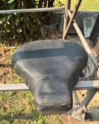 Lambretta