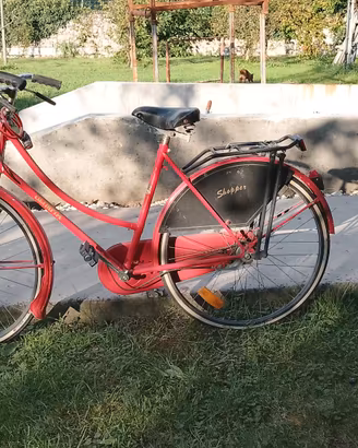 stock di biciclette 