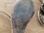 Immagine 6