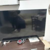 TV QLed Samsung 65 pollici