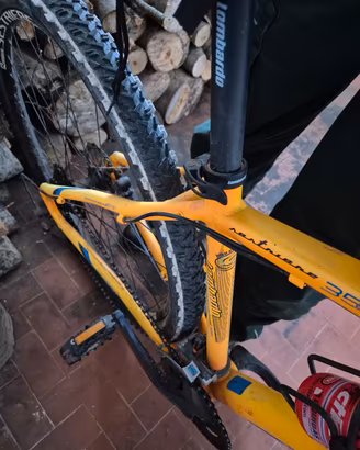 MTB lombardi
