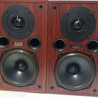 diffusori ACOUSTIC ENERGY AE100i