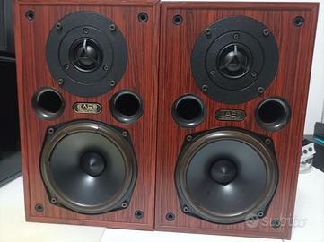 diffusori ACOUSTIC ENERGY AE100i