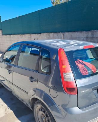 Fiesta e carrello