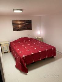 Cantina ristrutturata