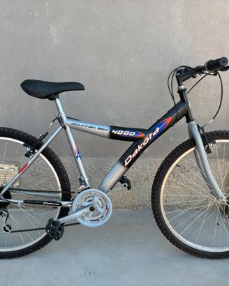 Bicicletta Mountain bike