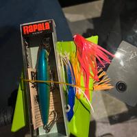 Filosa aletterati traina pesca barca