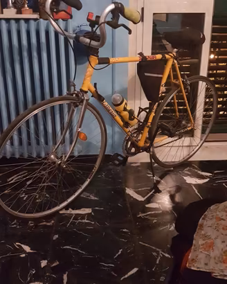 bici retrò da corsa esperia