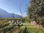 Immagine 22