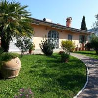 Villa con terreno e olivi