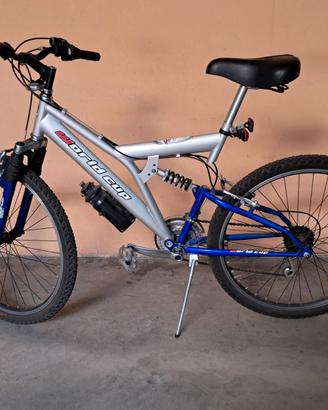 Bicicletta World Cup per ragazzo
