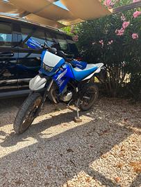 xt 125 