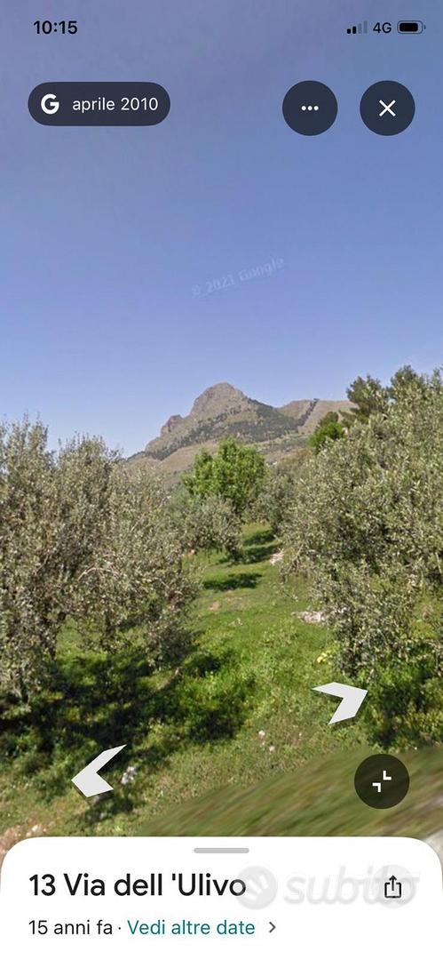 Terreno di uliveto - Vista 2