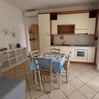 Polpo BLU Capoliveri