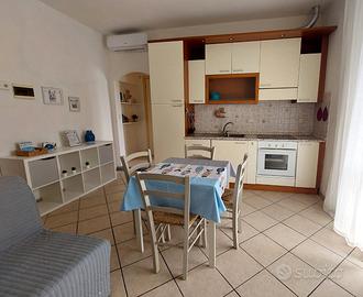 Polpo BLU Capoliveri