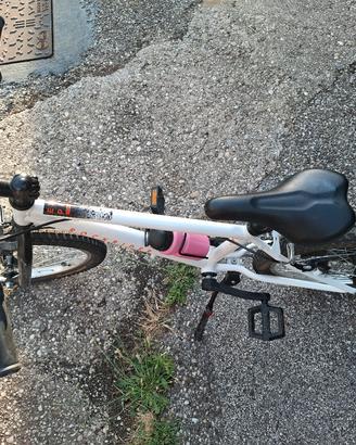 Bicicletta bambino bambina 20 pollici