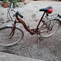 bicicletta