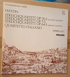 vinile Haydn