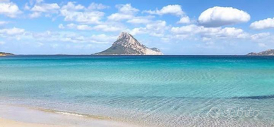 Posizione strategica a 10 min. Da Olbia e S.Teodor