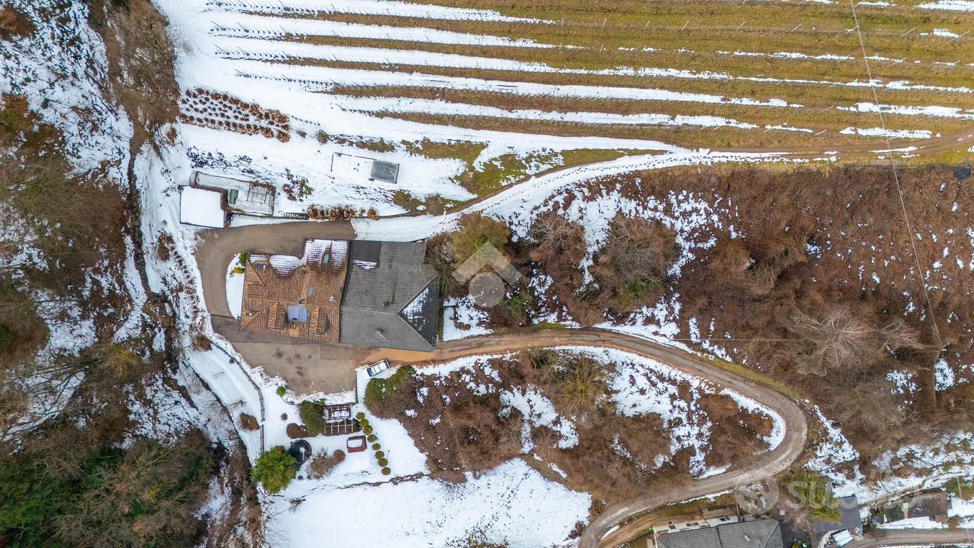 TER. AGRICOLO A PERGINE VALSUGANA - Vista 3