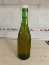 vino bianco falanghina