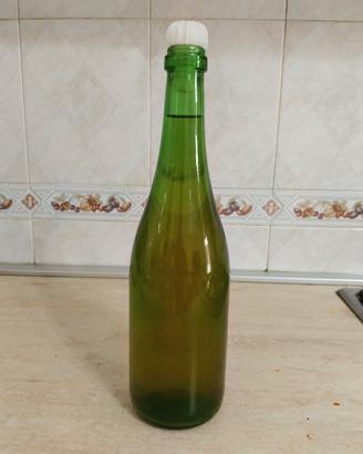 vino bianco falanghina