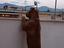 Immagine 3
