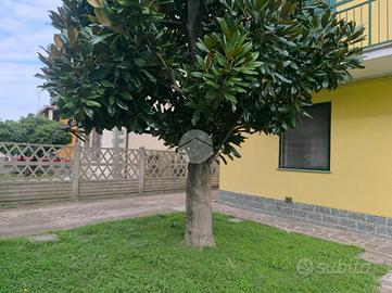 MONOLOCALE A GAGGIANO
