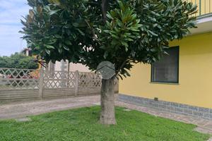MONOLOCALE A GAGGIANO