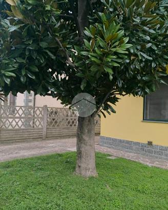 MONOLOCALE A GAGGIANO