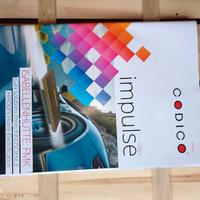 Rivista Impulse 1/2024 CODICO.