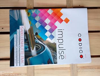 Rivista Impulse 1/2024 CODICO.