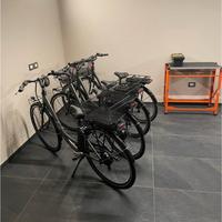 Bicicletta elettrica