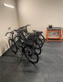 Bicicletta elettrica