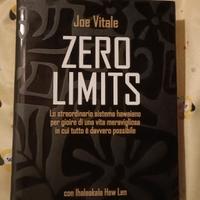 Joe Vitale Zero limits 