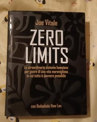 Joe Vitale Zero limits 